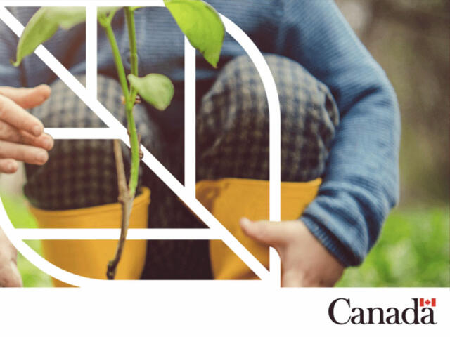 a an illustrated white leaf is superimposed over a seedling and yellow rain boots. in the corner is the Canadian flag and the word 